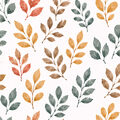 Image Not Available